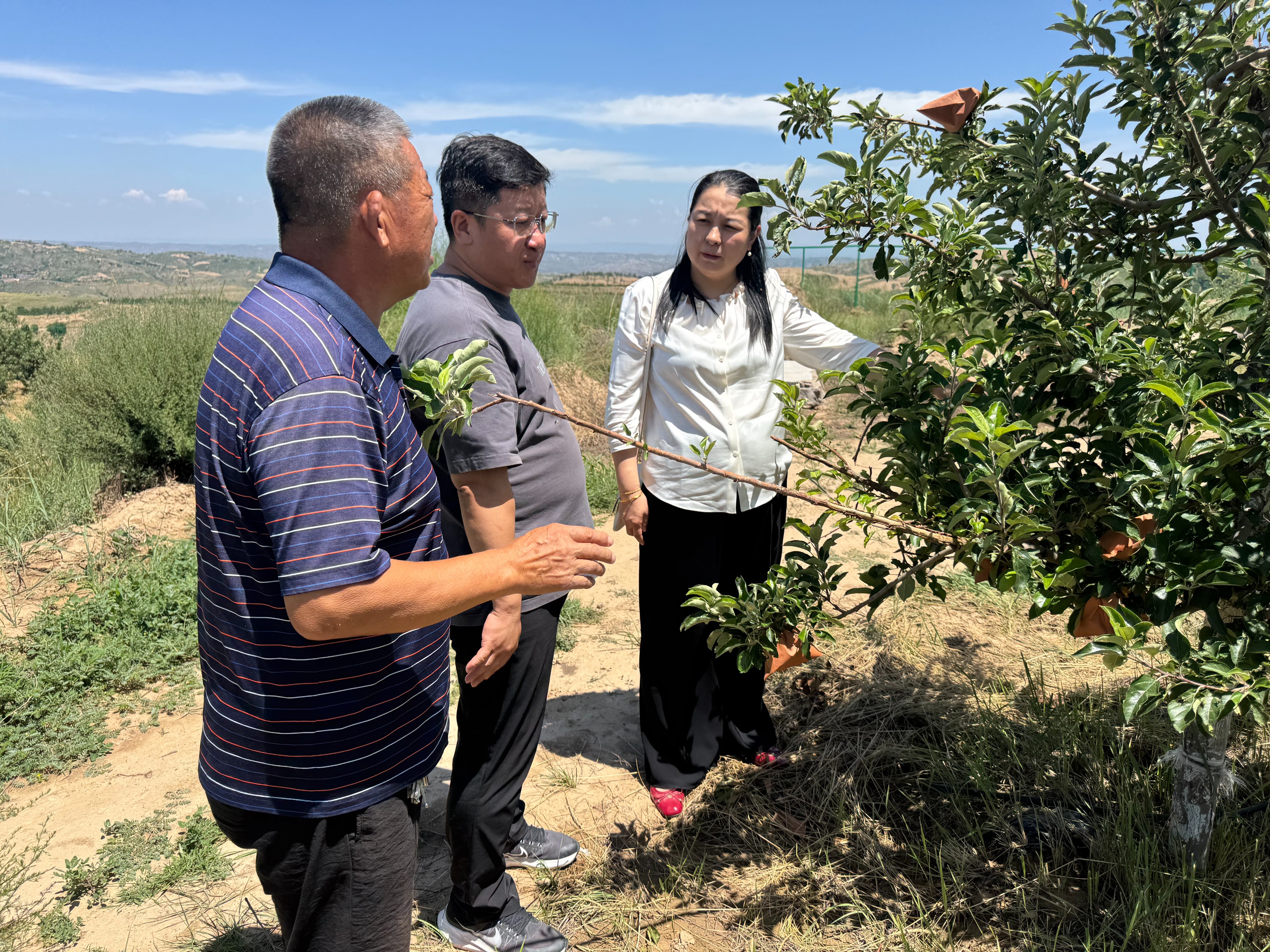 神木农业投资集团有限公司前往丰劳山苹果基地考察调研